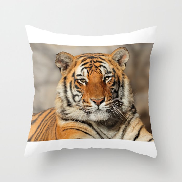 Close up portrait of a tiger Throw Pillow