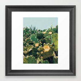 A Field of Prickly Pear Cactus Framed Art Print