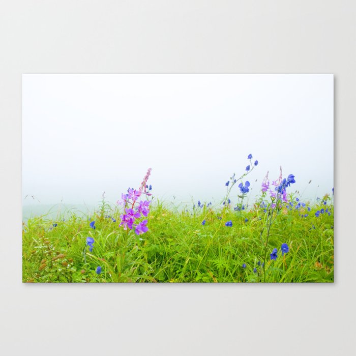 e v e r l y  Canvas Print