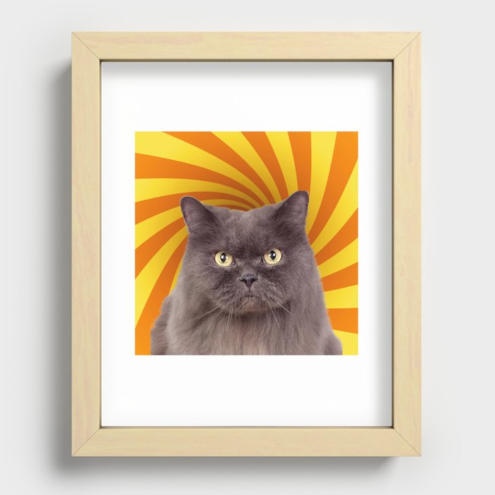 cat hypnotic Recessed Framed Print