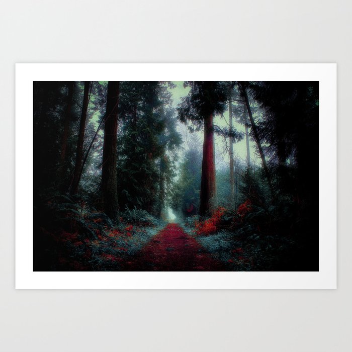 Redwood Fog Surreal Forest Art Print