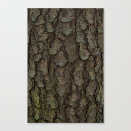TreeBark Art Canvas Print
