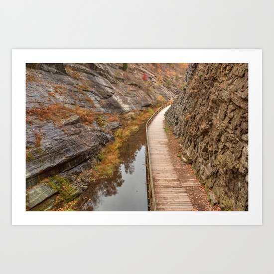 Paw Paw Boardwalk Trail Art Print