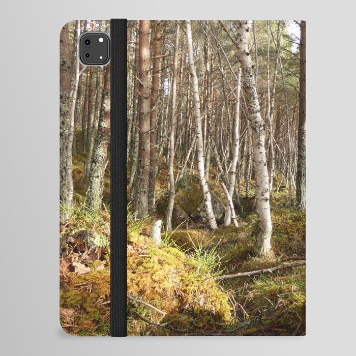 Birch Trees with Pine Trees in a Scottish Highlands Forest iPad Folio Case