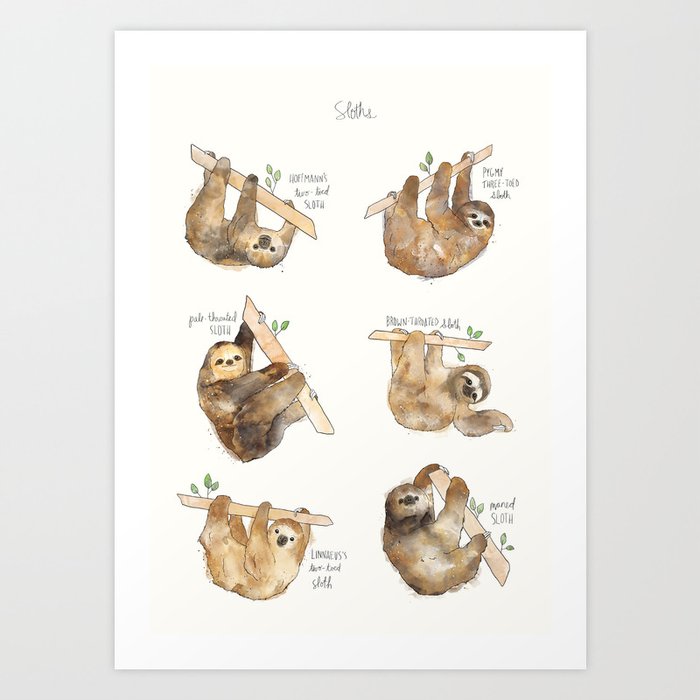 Sloths Art Print