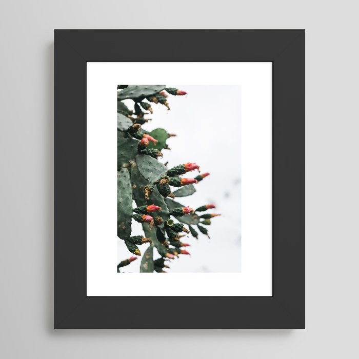 Blooming Cactus Framed Art Print