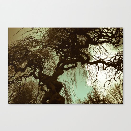 Remember. Landscape. Canvas Print