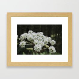 Green & White Flower | Nature Photography in Italy  Framed Art Print