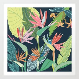 Tropical Bird of Paradise Art Print