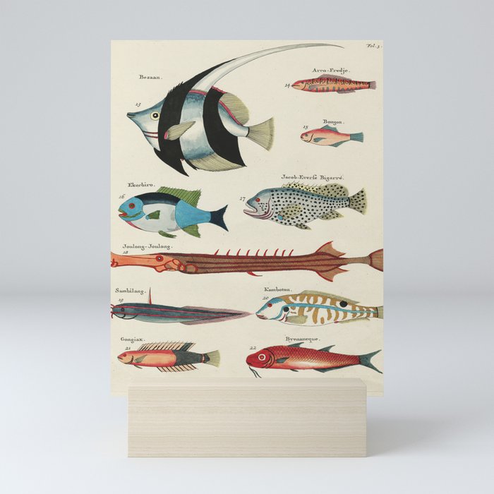 fish by Louis Renard Mini Art Print