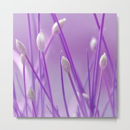 Allium 156 Metal Print | Digitalmanipulation, Purple, Atteloi, Macro, Flowers, Digital, Nature, Color, Violet, Chive 