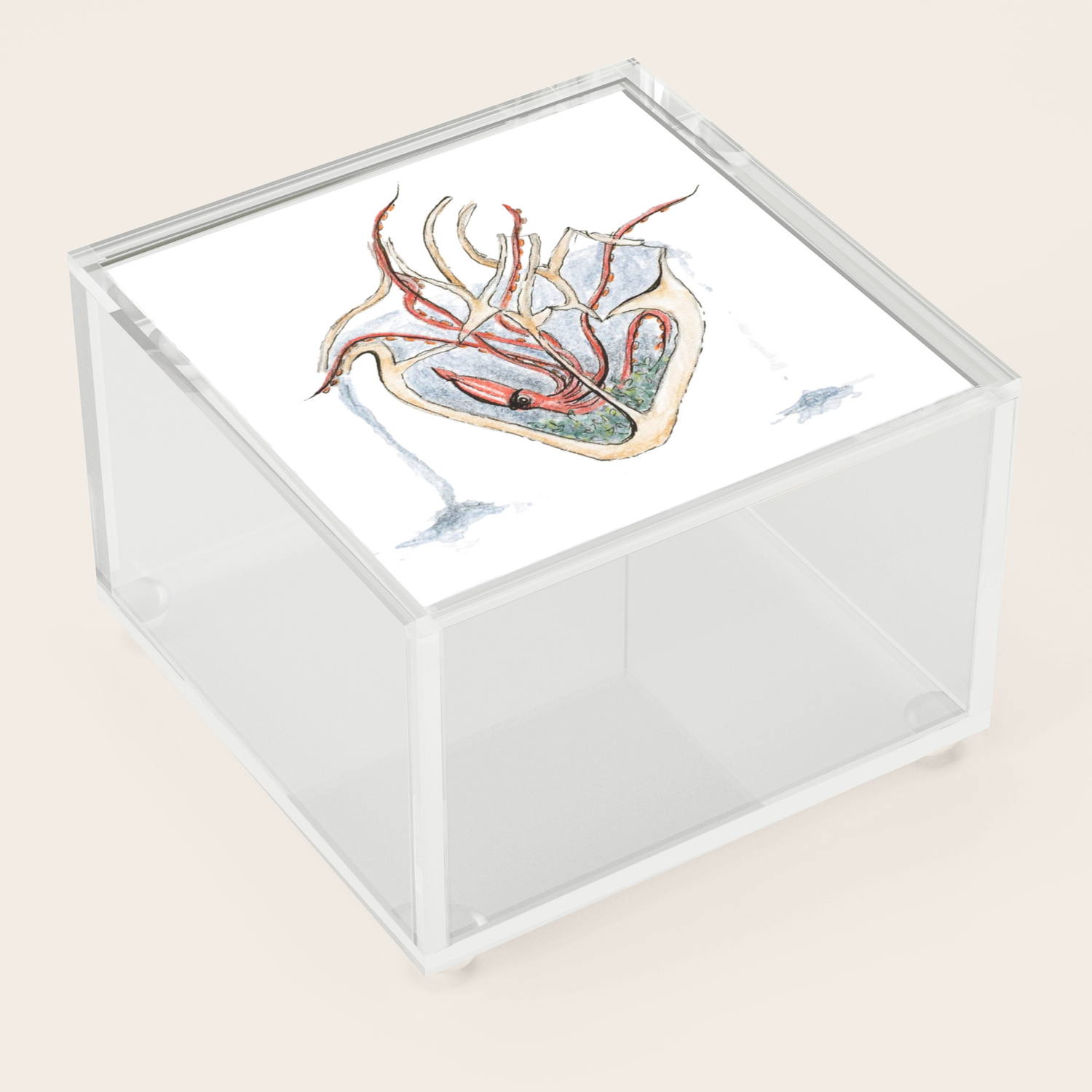 Heart Aquarium Acrylic Box By Hannahrothstein Society6