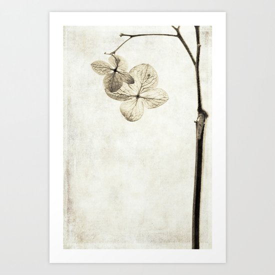 ornaments Art Print
