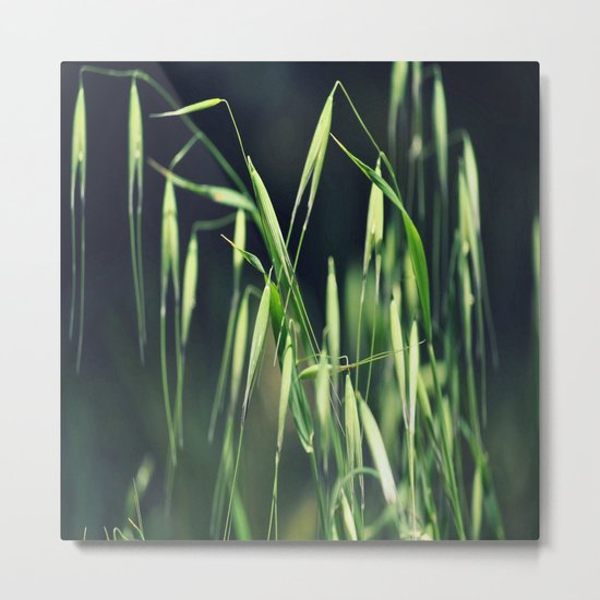 nature # #### ### Metal Print