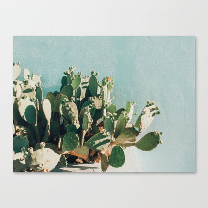 Prickly pear cactus in Marfa, West Texas Canvas Print