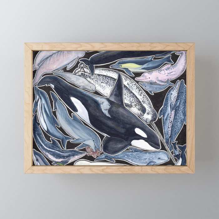 Dolphin, orca, beluga, narwhal & cie Framed Mini Art Print