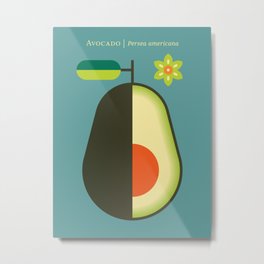 Fruit: Avocado Metal Print