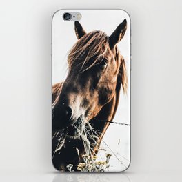 Rustic Horse iPhone Skin