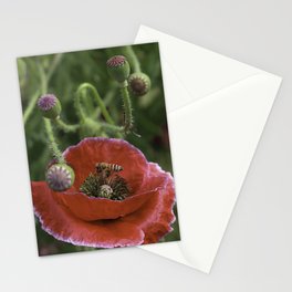 Bee On Red Poppy Stationery Card