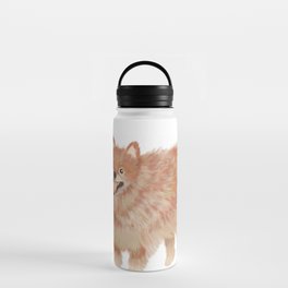 Pomeranian Illustration Water Bottle