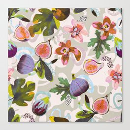 Figs, shapes and tropical flowers D Canvas Print