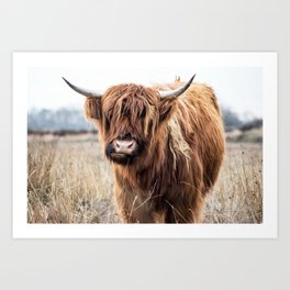 Highland Cow Landscape Art Print