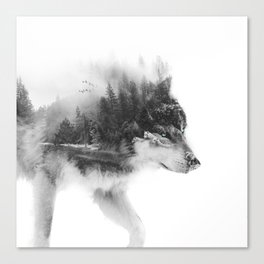 Wolf Stalking Canvas Print