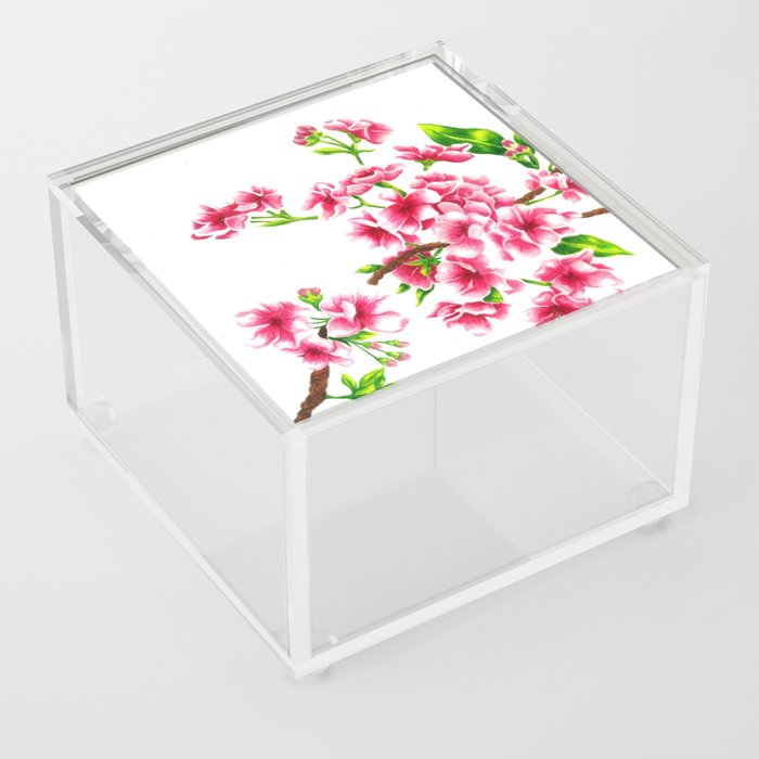 Cherry Blossoms  Acrylic Box