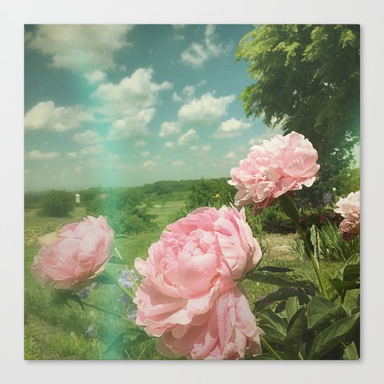 Boho Vibe Canvas Print