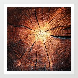 Cross section through a tree trunk Art Print