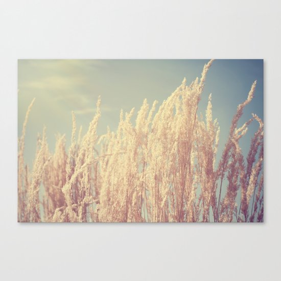 light Canvas Print