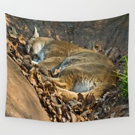 Sleeping Mountain Lion Wall Tapestry | Photo, Other, Wildlife, Afternoonnap, Nature, Sleepingmountainlion, Digital, Mountainlionphoto, Mountainlion, Cutesleepingcat 