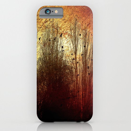 Last sunny day iPhone & iPod Case
