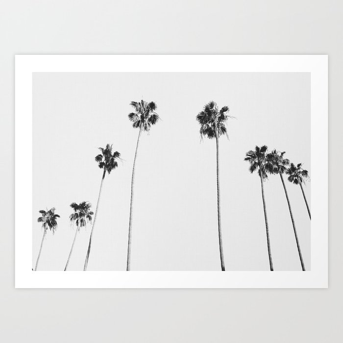Black & White Palms Art Print