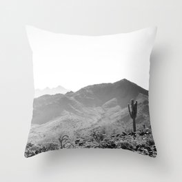 Arizona Desert Throw Pillow