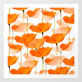 Orange Poppies On A White Background #decor #society6 #buyart Kunstdrucke | Landscape, Nature, Botanical, Illustration, Meadow, Curated, Summer, Spring, Plant, Greeting 