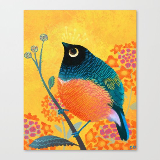 Superb Starling Canvas Print