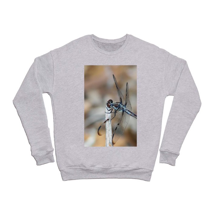 Dragonfly on twig Crewneck Sweatshirt