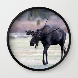 Watercolor Moose Bull 52, Endovalley, RMNP, Colorado Wall Clock