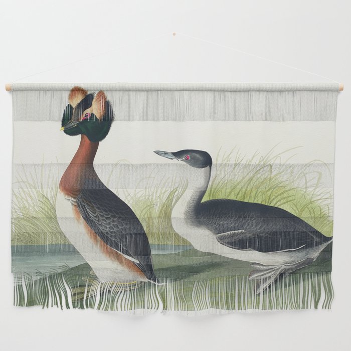 Horned Grebe from Birds of America (1827) by John James Audubon  Wall Hanging