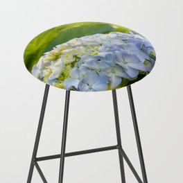 Blue and yellow flower, Hydrangea, cute and beautiful blossom. Bar Stool