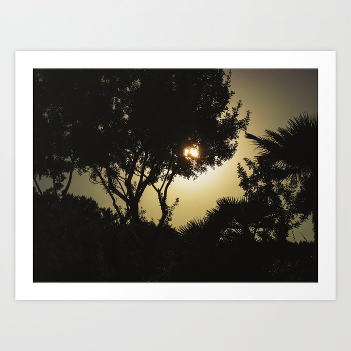 Silhouettes | Nature and Landscape Photography Art Print