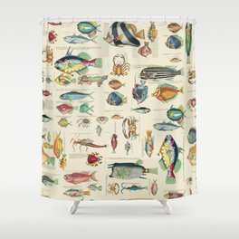 Multicolor  Vintage Fish And Sea Life Illustration Shower Curtain