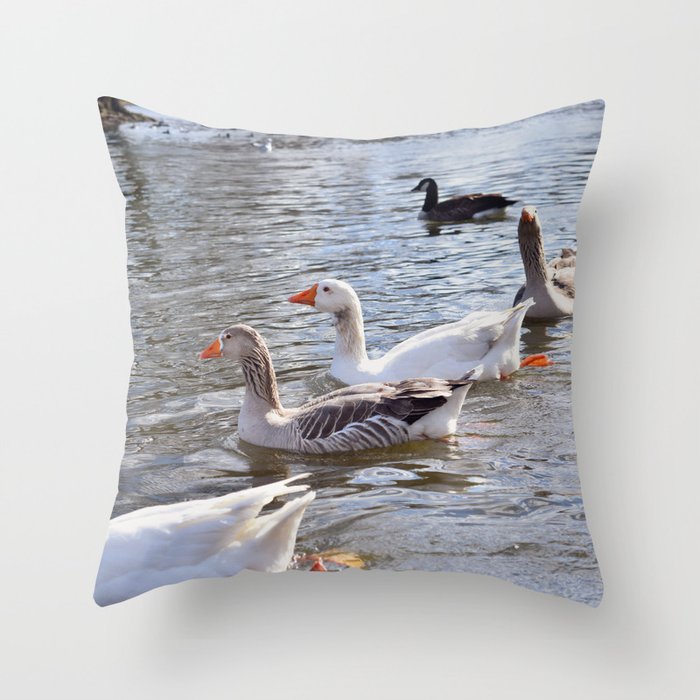 Aquatic Feathered Friends (1) Throw Pillow