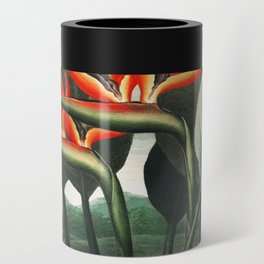 The Queen Temple of Flora x Bird of Paradise Vintage Painting Can Cooler