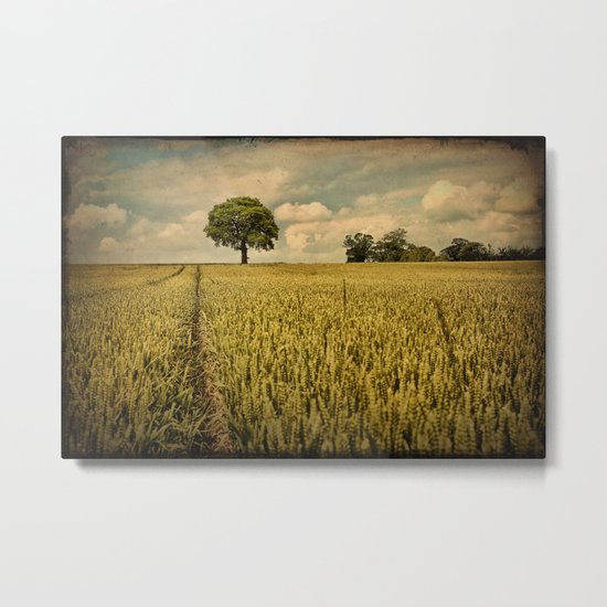 A Summers Walk Metal Print