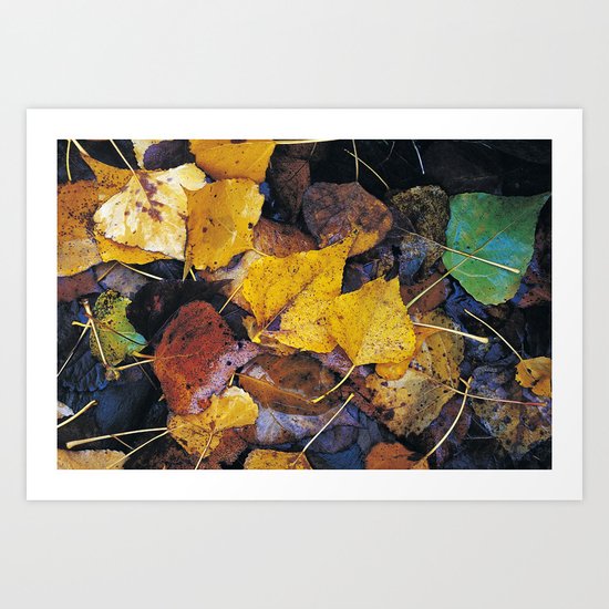 Rain leaves II Art Print