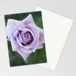 Rosa Stationery Cards