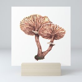 Fungi watercolor - Armillaria gallica Mini Art Print