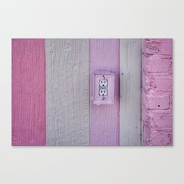 Shades of Pink Canvas Print
